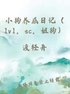 小狗养成日记（1v1，sc，姐狗）